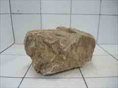 上質木化石 4007