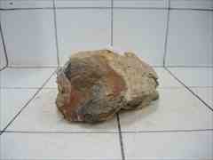 上質木化石 4018